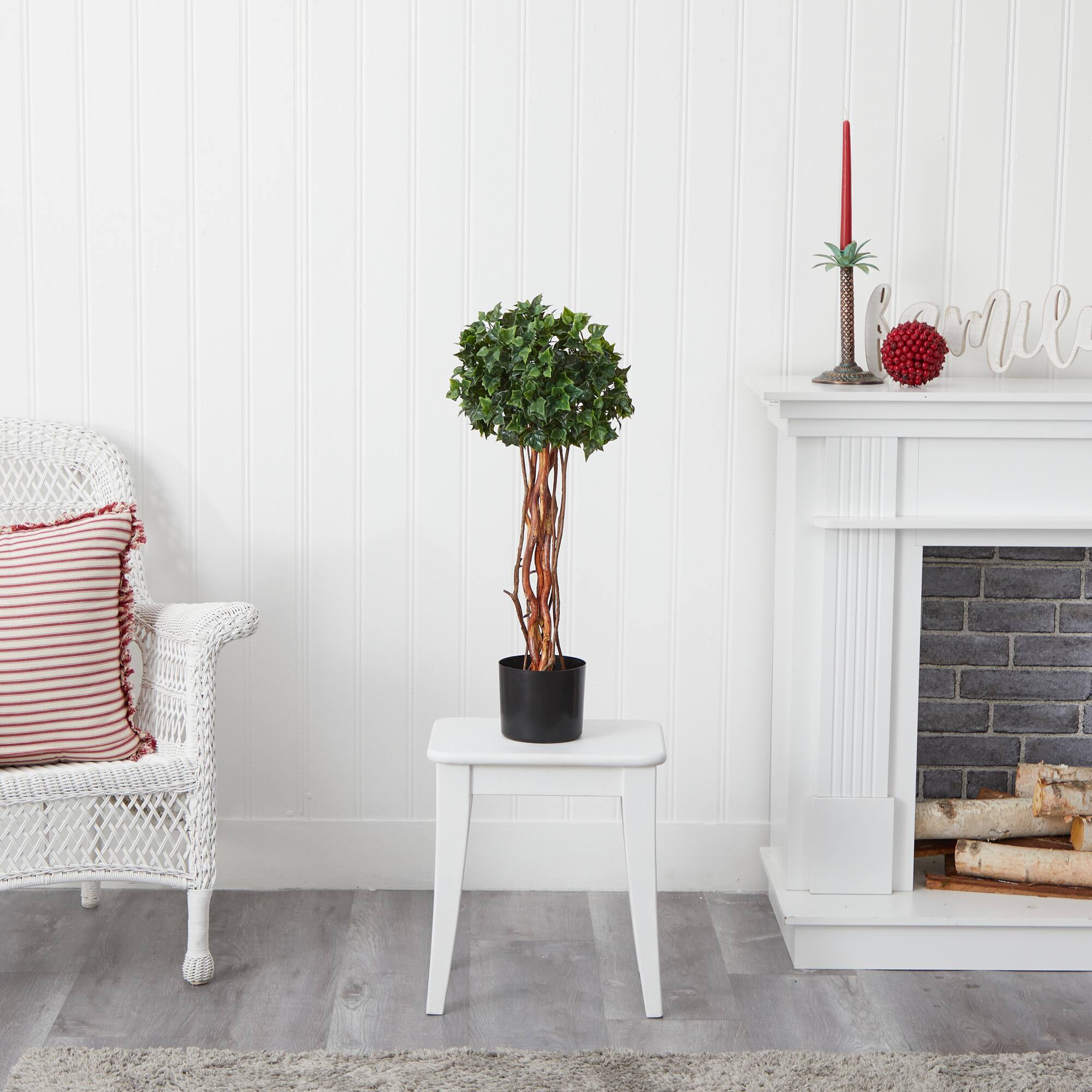2.5ft. Potted English Ivy Topiary